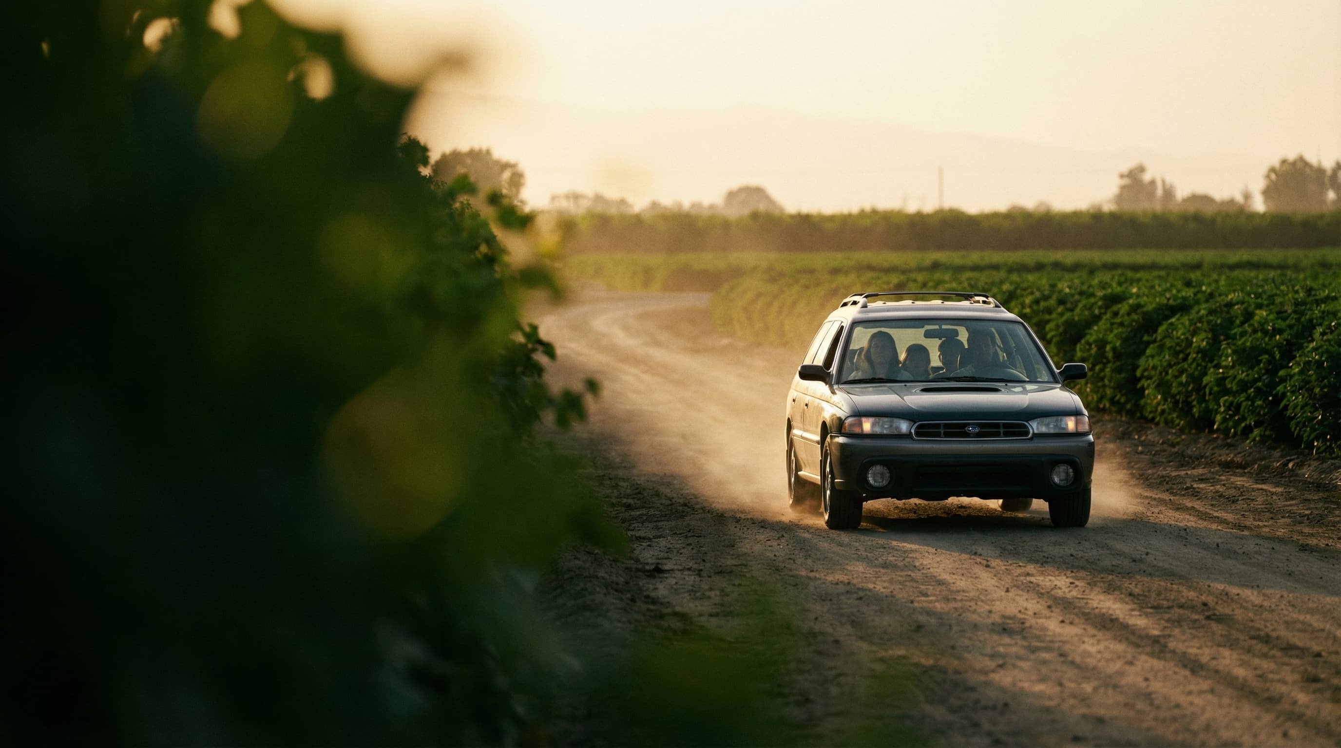 Familia manejando por los viñedos de California al atardecer